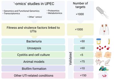 “Omics” Technologies - What Have They Told Us About Uropathogenic Escherichia coli Fitness and Virulence During Urinary Tract Infection?